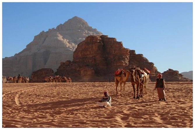 Private transfer Petra to/from Wadi Rum - Private vehicle, no detours: what to expect and what not to expect
