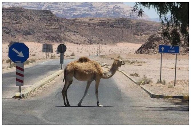 Private transfer Petra to/from Wadi Rum - Tips to get the best outcome from your pickup and drop-off