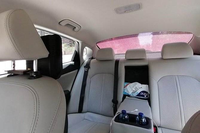 Private Transportation services (Day Use) - Choosing Your Ride: Sedan or Minivan, and Who It Really Fits