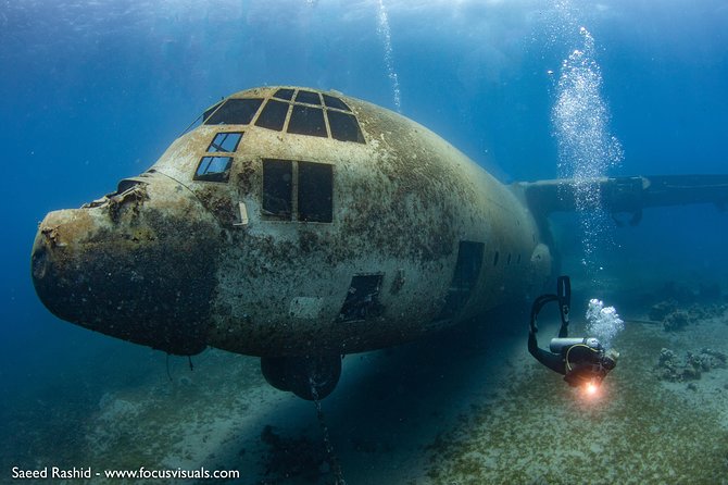 Scuba Diving for Certified Divers - Key highlights you’ll actually feel