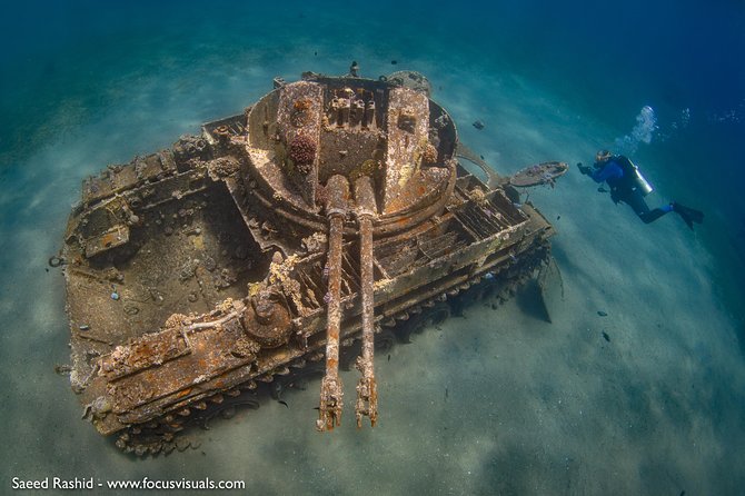Scuba Diving for Certified Divers - The 7:30 start, a 6-hour boat rhythm, and what fills your time