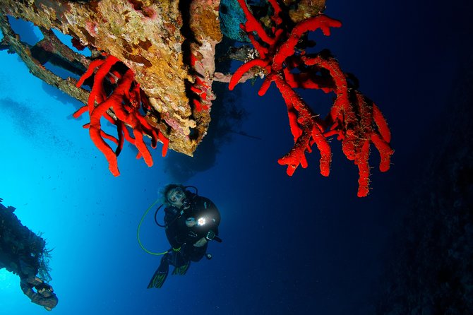 Scuba Diving for Certified Divers - Lunch on board in Aqaba, and why it matters for a full water day