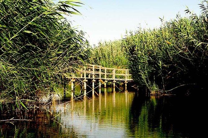 Shaumari Reserve and Azraq Wetland Private Full Day Tour from Amman - A Morning Escape From Amman Into Jordan’s Desert Oases