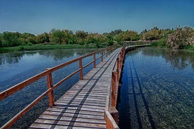 Shaumari Reserve and Azraq Wetland Private Full Day Tour from Amman - What Your Money Covers: Guide, Entry Fees, Jeep, and On-Board Wi-Fi