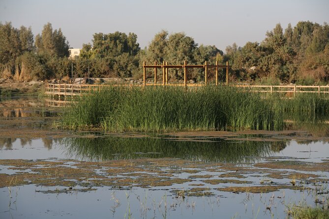Shaumari Reserve and Azraq Wetland Private Full Day Tour from Amman - Birding and Animal Viewing Reality Check (So You’re Not Surprised)
