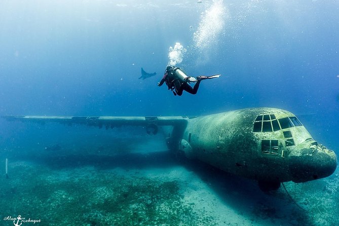 Shore Certified Diving - Two Dives - The Car Transfer and 4 to 5 Hour Shore Schedule