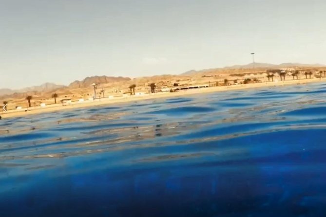 Shore Snorkeling - Two hours - Quick hits before you go