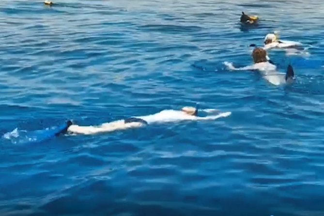 Shore Snorkeling - Two hours - Getting to the water, timing, and how the day flows