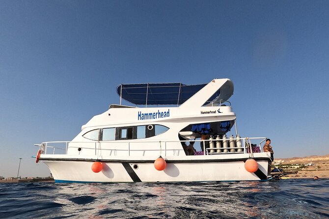 Snorkeling Activity in Aqaba with Lunch and Transportation (Boat) - Boat snorkeling from Aqaba: why this style beats shore time