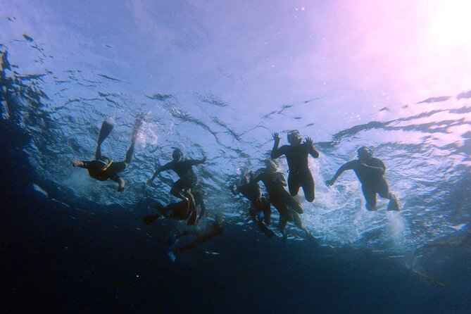 Snorkeling Activity in Aqaba with Lunch and Transportation (Boat) - What you can actually see: marine life plus wreck areas