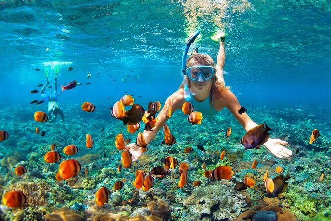 Snorkeling Activity in Aqaba with Lunch and Transportation (Boat) - Who this Aqaba snorkeling boat trip suits best