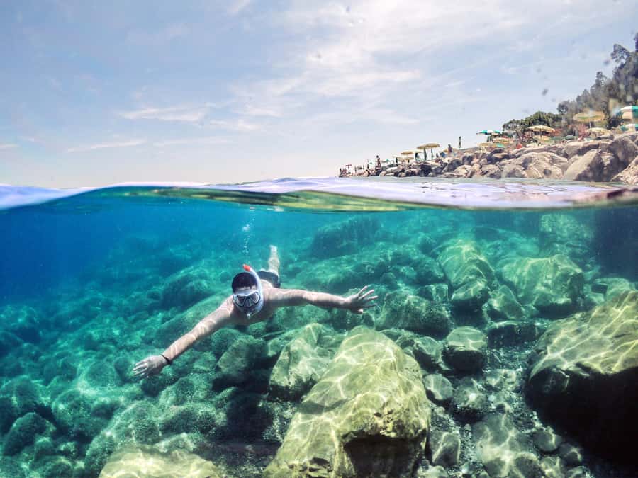 Snorkeling in The Red Sea With Equipment And Free Transfer - Key highlights worth your attention