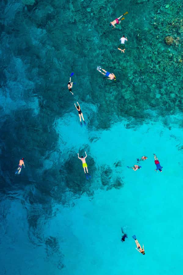 Snorkeling in The Red Sea With Equipment And Free Transfer - Price and value: is $51 per person a good deal?
