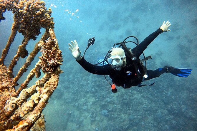 Take advantage of a half-day boat dive experience in Red sea of Aqaba. - What you are likely to see in the Red Sea waters