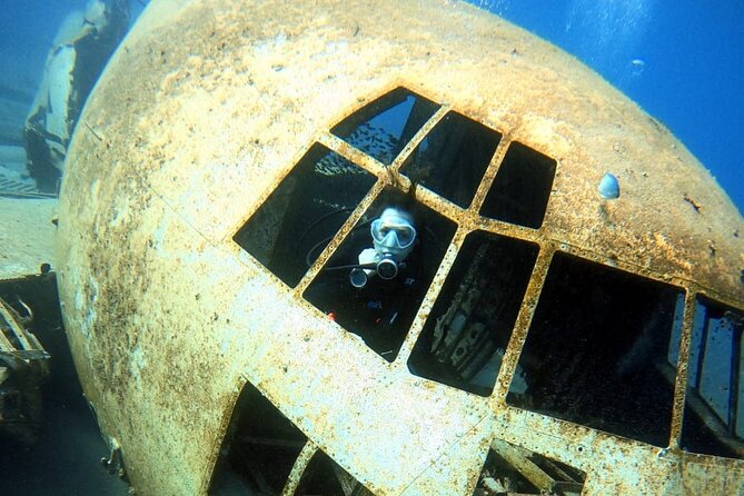 Take advantage of a half-day boat dive experience in Red sea of Aqaba. - Price and value for a $150 one-tank half-day
