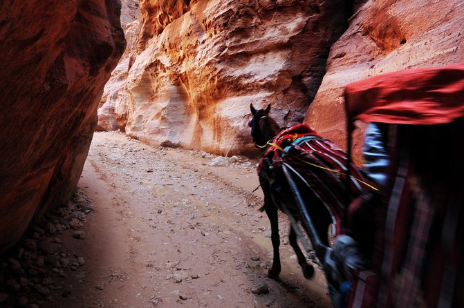 Transportations around Jordan | The Jordanian Mappers - Private Transport in Jordan: Why This Choice Makes Petra Easier