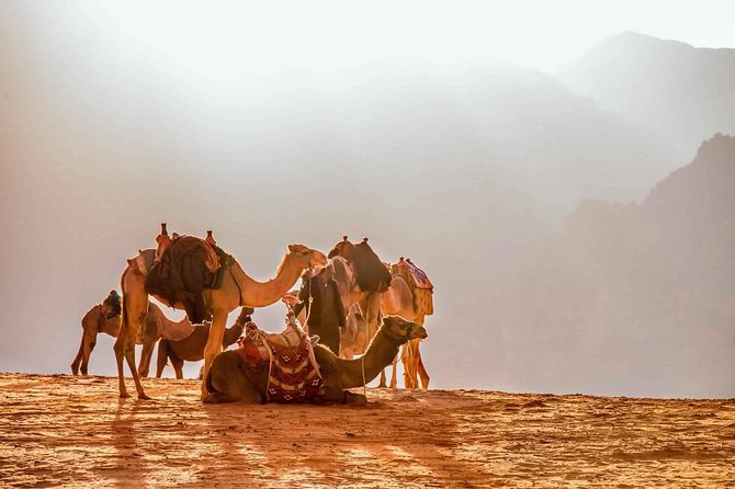 Treasures of Jordan Tour-7 Days Discover Petra & Dead Sea & Wadi Rum with Hotels - Day 3: Petra, the Rose City, with included time to see it well