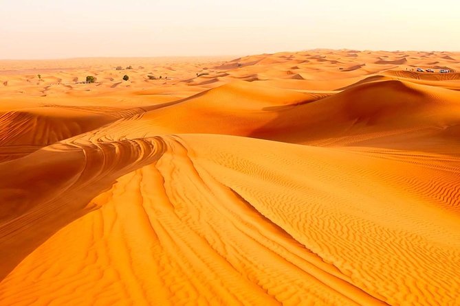 Treasures of Jordan Tour-7 Days Discover Petra & Dead Sea & Wadi Rum with Hotels - Day 6: Jerash’s Greco-Roman ruins, Ajloun Castle, then the Dead Sea mud bath
