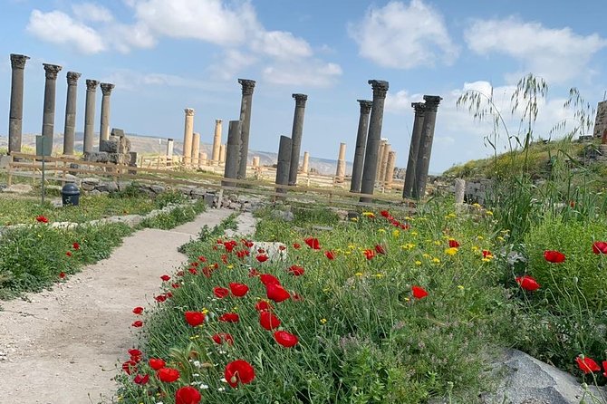 Umm Qais, Jerash & Ajloun Castle Day Tour from Amman - Why This Northern Jordan Day Trip Feels Like the Smart Option