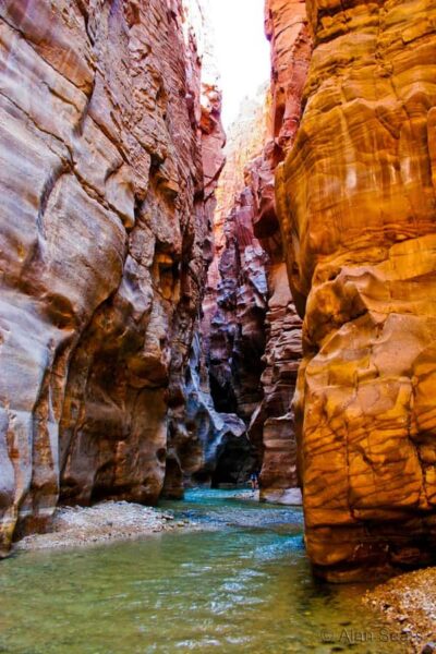 Wadi Al Mujib and Dead Sea Panoramic Tour from Aqaba