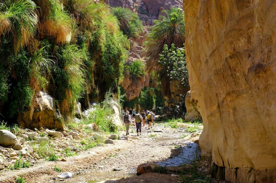 Wadi Ghuweir Full-Day Hike with Local Guide & Lunch. - Why Wadi Ghuweir feels wilder than the photos