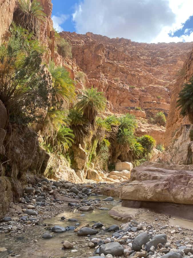 Wadi Ghuweir Full-Day Hike with Local Guide & Lunch. - Entering the canyon with a certified local guide