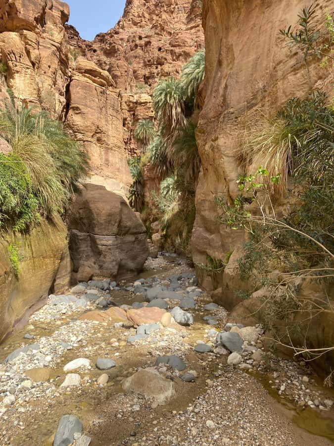 Wadi Ghuweir Full-Day Hike with Local Guide & Lunch. - Who should book this hike, and who should skip it