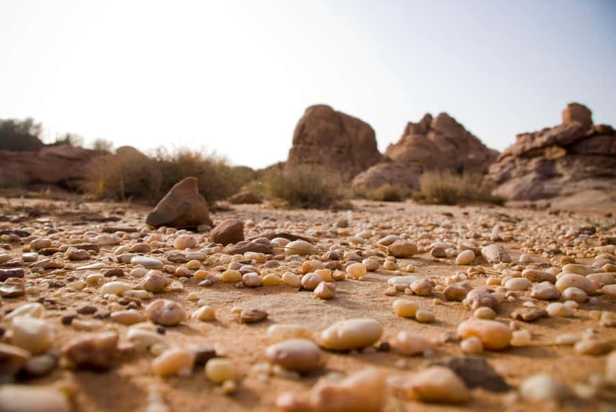 Wadi Rum: 10 Hour Jeep Tour Pass, Camel, Sandbording & Lunch - Open-Air Safari Vehicle, and Why It Changes Your Experience