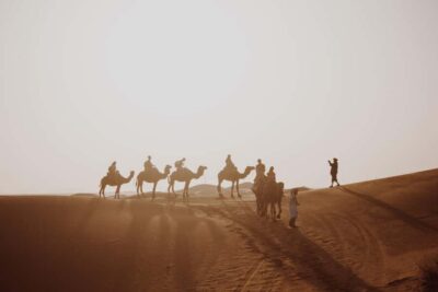 2 Hour Camel Ride at Sunset/Sunrise Overnight