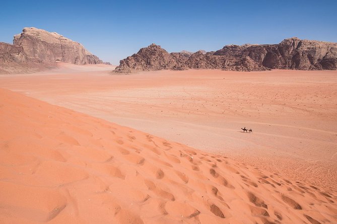 Wadi Rum: 4 Hour Highlights Tour - Price and value at about $73 per person