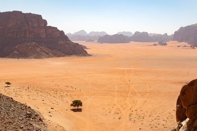 Wadi Rum: 4 Hour Highlights Tour - Stop around Wadi Rum Protected Area, canyons and red dunes
