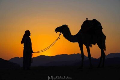 Camel Ride with tea and Bedouin Guide