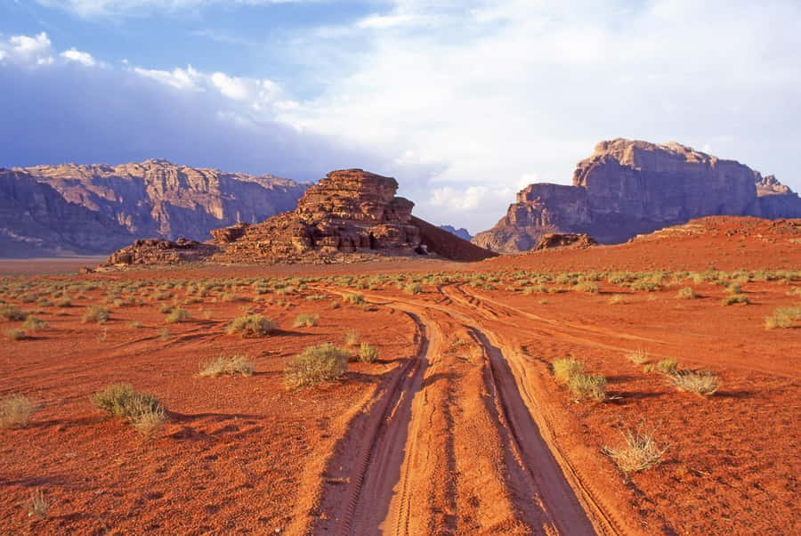 Wadi Rum: Camel Ride with tea and Bedouin Guide - Al Ramal Red Sand Dune Stop, Tea and Water Done Right