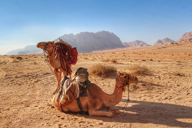 Wadi Rum: Camel Trek Adventure - Camels, Pace, and Photo Time (Yes, You Can Slow Down)