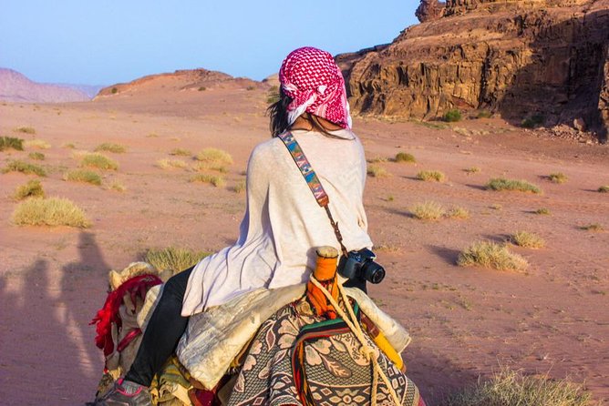 Wadi Rum: Camel Trek Adventure - Who This Tour Fits Best