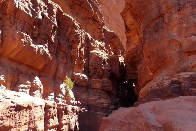Wadi Rum: Camel Trek Adventure - Should You Book This Private Wadi Rum Camel Trek?