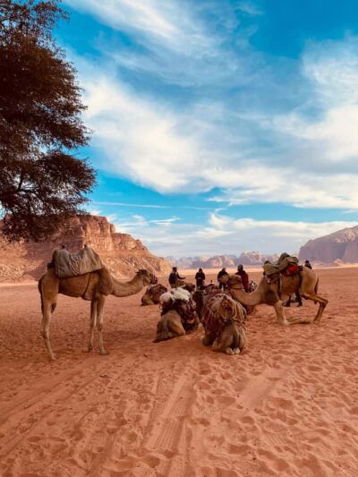 Wadi Rum Classic 4-Hour Jeep Safari