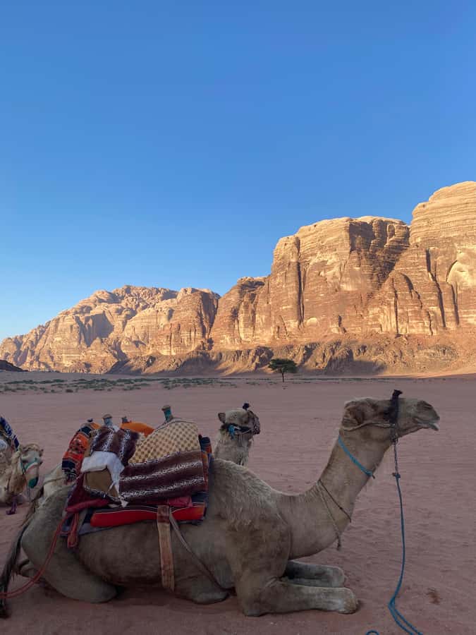 Wadi Rum Classic 4-Hour Jeep Safari - Riding the Jeep Safari Route From Wadi Rum Village