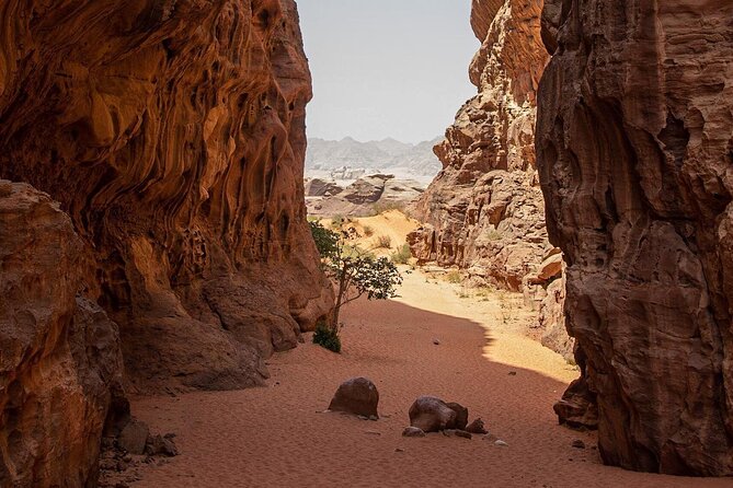 Wadi Rum Desert Tour with Lunch & Sunset - Abu Khashaba Canyon: optional self-guided walk, and how to pace it
