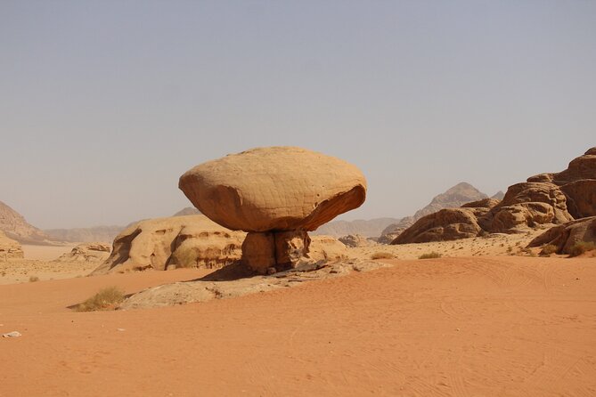 Wadi Rum Full Day Jeep Tour - Pickup, mobile ticket, and why the private format matters