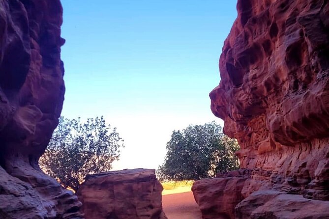 Wadi Rum Full Day Jeep Tour + Overnight & Dinner in Bedouin Camp - Traditional Bedouin Lunch and Abu Khashaba’s Quiet Green Pocket