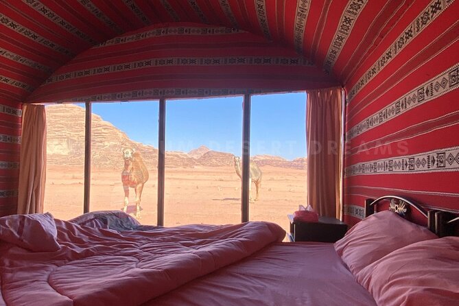 Wadi Rum Full Day Jeep Tour + Overnight & Dinner in Bedouin Camp - Lawrence’s House, White Desert, and Mushroom Rock: The Scenic Plot Twists