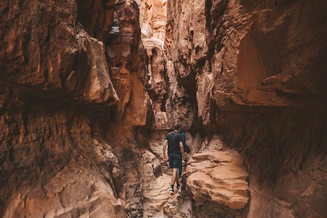 Wadi Rum: Full Day Valley Tour with Lunch - Price and Value: What $91.10 Covers, and What Costs Extra