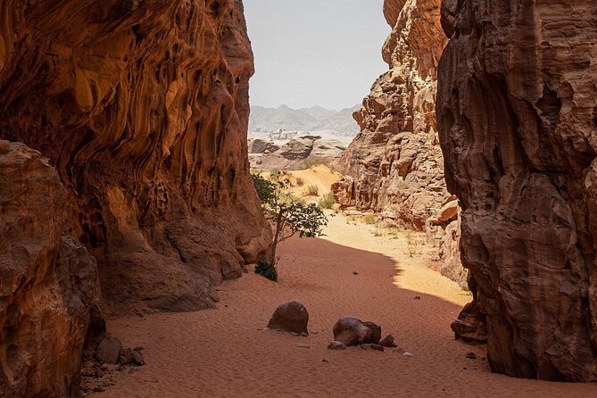 Wadi Rum Half-Day Desert Tour | Wadi Rum Desert - Climbing to the Red Sand Dune viewpoint, optional but worth it