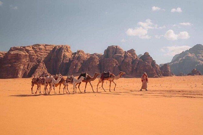 Wadi Rum Half Day From Aqaba Private Tour - A Half-Day in Wadi Rum, With Real-World Time to Enjoy It