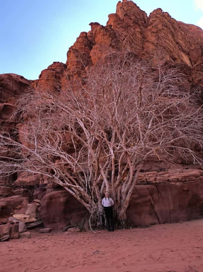 Wadi Rum: Morning or Sunset Jeep Tour - Sunset Timing: Why the Afternoon Tour Ends the Best Way