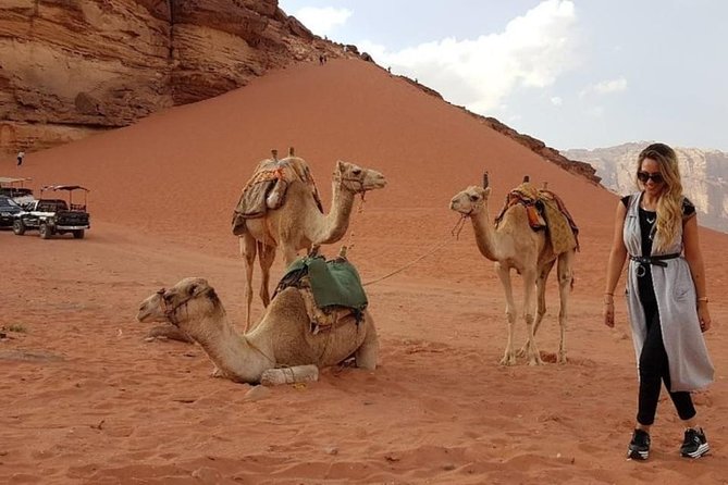 Wadi Rum Private Transfer to or from Amman or Airport - Quick practical tips before you book VIP Jordan Limo