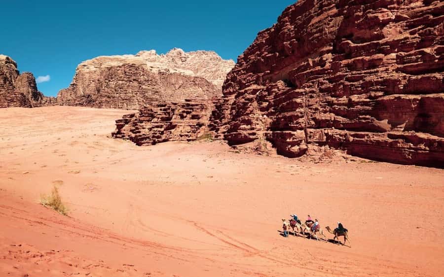 Whispers of Stone, Sand & Sea: Jordan in Four Days - Day 2 at Petra: the Rose City that feels unreal in person