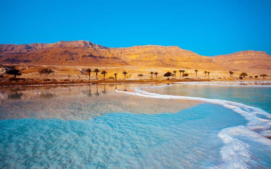 Whispers of Stone, Sand & Sea: Jordan in Four Days - Day 4: Dead Sea floating and a calm return to Amman